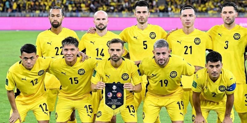 Quá trình thành lập và những bước đầu Hiệp hội bóng đá Malaysia
